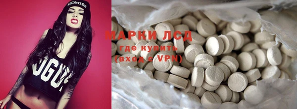 сатива Иннополис