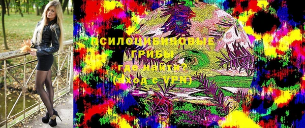 хмурый Гусь-Хрустальный